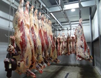 Importation de viande réfrigérée : La liste des importateurs approuvée
