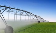 Production du premier pivot d’irrigation développé en Algérie en mai