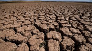 Afrique australe: une sécheresse record entre désormais dans sa pire phase (ONU)