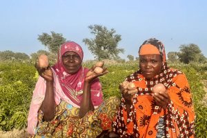 Burkina Faso : lancement d’une initiative présidentielle pour la production agricole et l’autosuffisance alimentaire