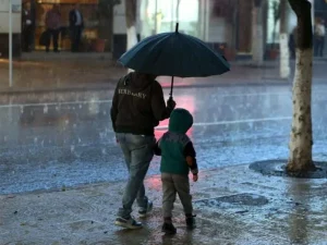 BMS : pluies orageuses sur plusieurs wilayas à partir de dimanche après-midi