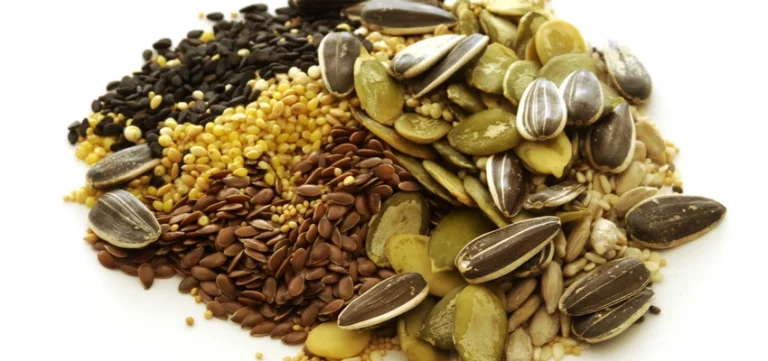 Algeria Bets Big on Oilseed Crops in the South