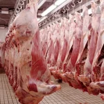 Meat Importation: Algeria affirms its sovereignty in Halal certification