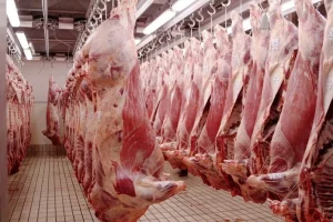 Meat Importation: Algeria affirms its sovereignty in Halal certification