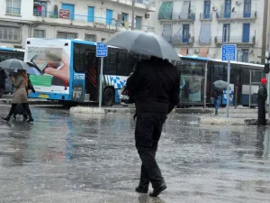 BMS : des pluies orageuses sur plusieurs wilayas ce samedi