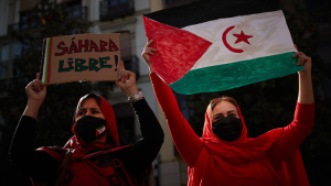 Des associations françaises dénoncent le soutien apporté au prétendu plan d’autonomie marocain au Sahara occidental