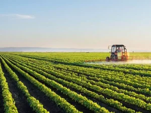 Agriculture durable : lancement d’un nouveau programme de coopération algéro-sudcoréen