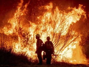 Etats-Unis : les dommages des incendies en Californie dépassent les 250 milliards de dollars