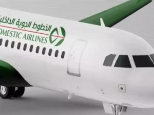 Domestic Airlines : perturbations probables dans le programme des vols lundi à cause du mauvais temps