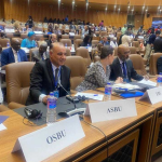 Gambie : l&rsquo;Algérie au cœur du débat mondial sur la coproduction et le partage de contenu médiatique