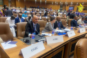 Gambie : l&rsquo;Algérie au cœur du débat mondial sur la coproduction et le partage de contenu médiatique