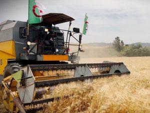 Mécanisation agricole: AgroDrive mobilise d&rsquo;importants moyens en soutien à la campagne moisson-battage (ministère)