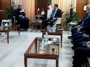 Hydrocarbures : Les opportunités de coopération avec l’Inde et le Qatar examinées