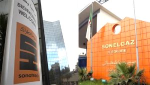 De Niamey à Luanda : L&rsquo;Algérie déploie sa diplomatie de l&rsquo;énergie