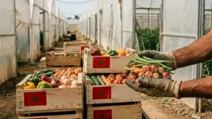 Maroc : Le Makhzen inonde l&rsquo;Europe de produits toxiques